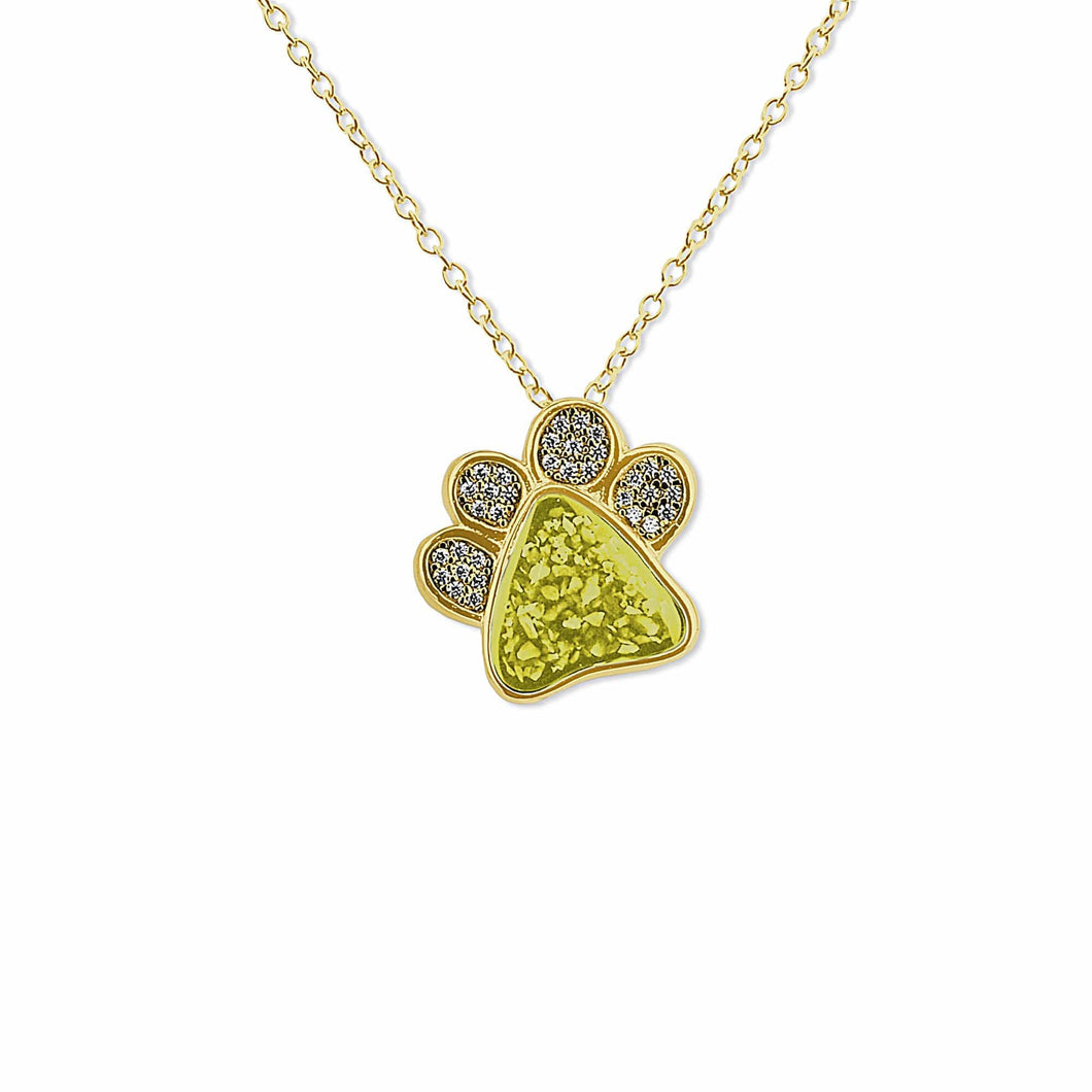 EverWith Unisex Paw Print Memorial Ashes Pendant with Fine Crystals
