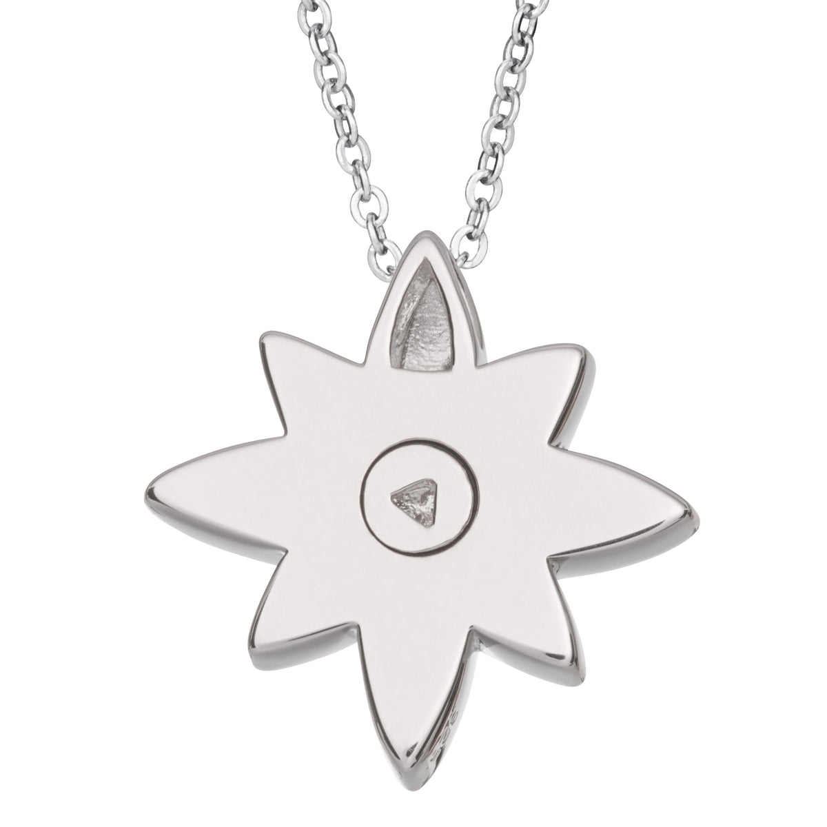 EverWith Self-fill Star Flower Memorial Ashes Pendant – EverWith ...